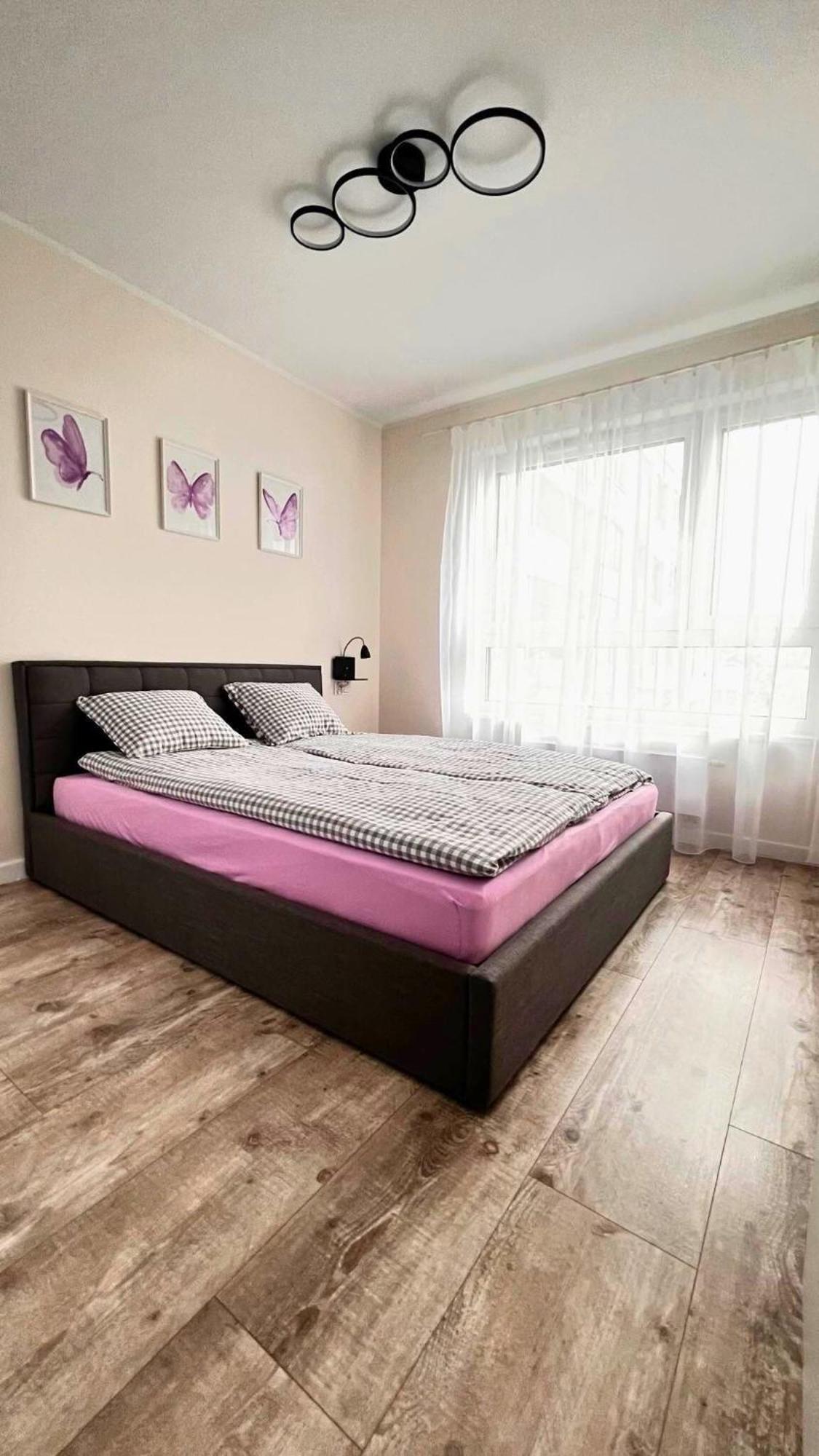 Purple Apartment *